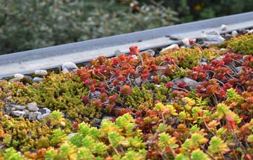 the cost of Humshaugh green roof installation