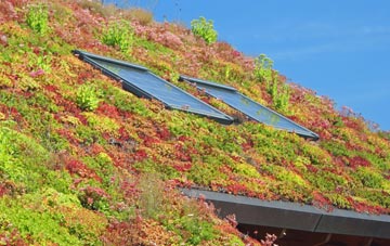 Humshaugh living roof systems